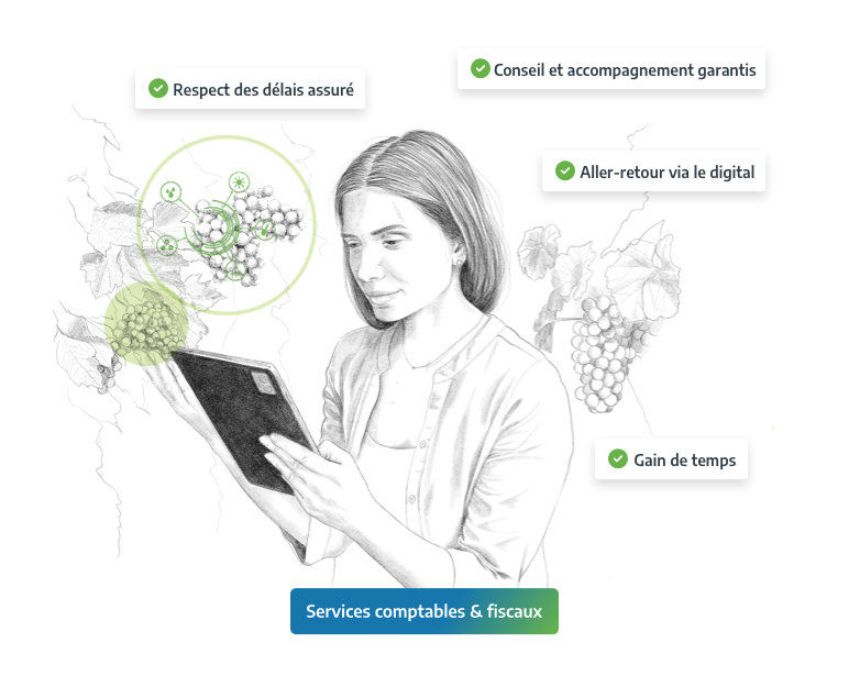services comptables et fiscaux big